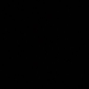 Meet your Posher, Addison